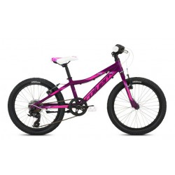 COLUER MAGIC 206
