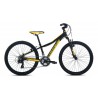 COLUER ASCENT 240
