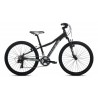 COLUER ASCENT 240