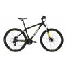 COLUER ASCENT 273