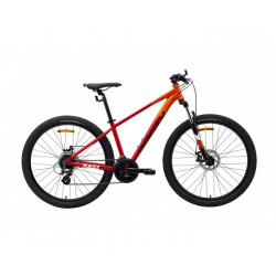 BICICLETA JUVENIL MONTY...