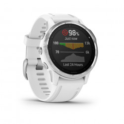 RELOJ GARMIN FENIX 6S